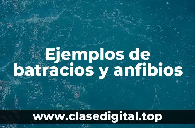 Ejemplos de batracios y anfibios