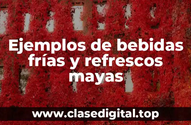 Ejemplos de bebidas frías y refrescos mayas