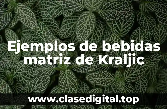 Ejemplos de bebidas matriz de Kraljic