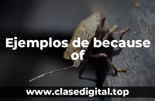 Ejemplos de because of