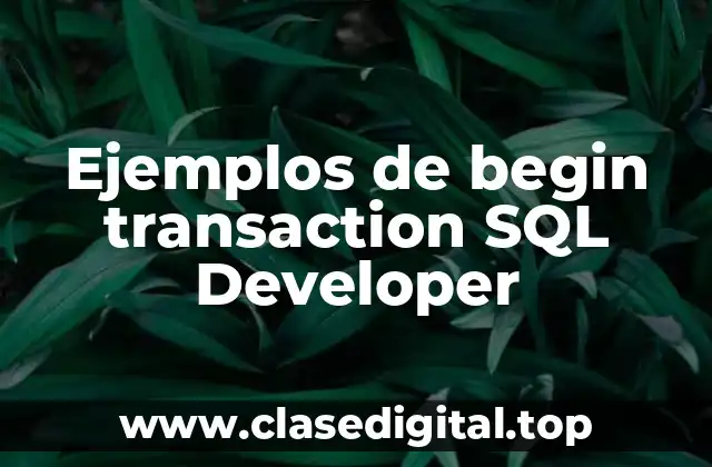 Ejemplos de begin transaction SQL Developer