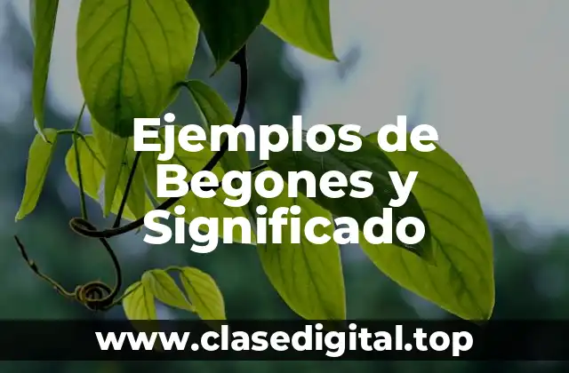 Ejemplos de Begones y Significado