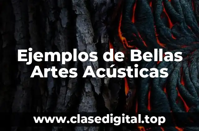 Ejemplos de Bellas Artes Acústicas