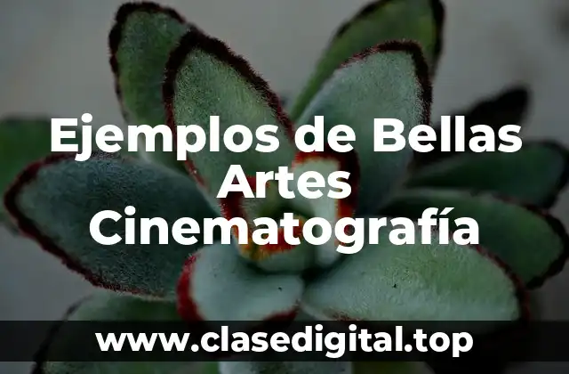 Ejemplos de Bellas Artes Cinematografía