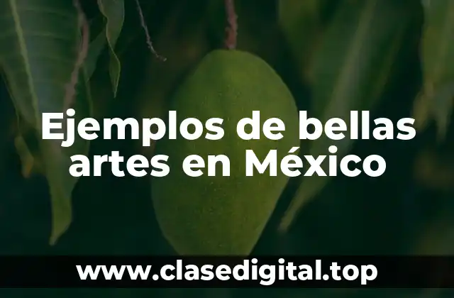 Ejemplos de bellas artes en México