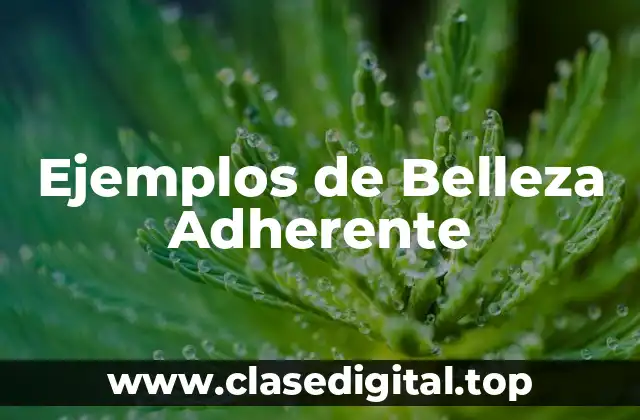 Ejemplos de Belleza Adherente