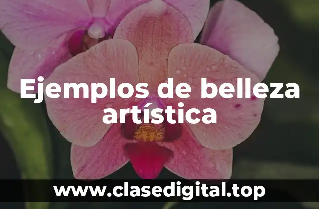 Ejemplos de belleza artística