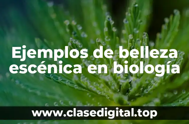 Ejemplos de belleza escénica en biología