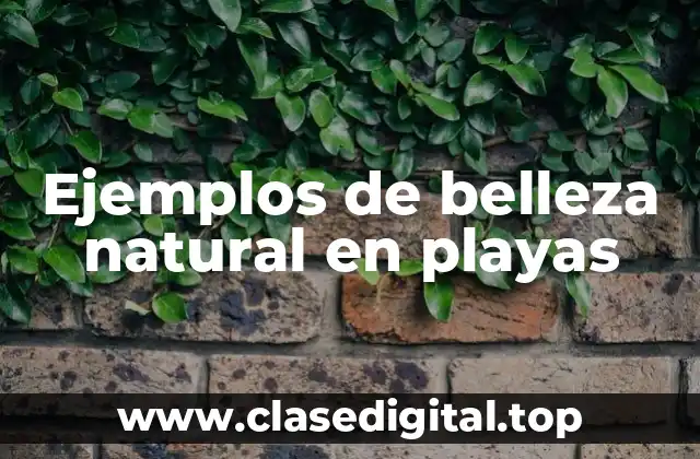 Ejemplos de belleza natural en playas