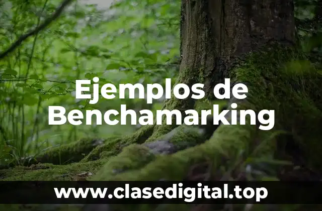 Ejemplos de Benchamarking