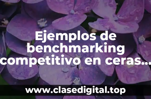 Ejemplos de benchmarking competitivo en ceras para cabello