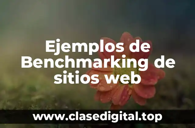 Ejemplos de Benchmarking de sitios web