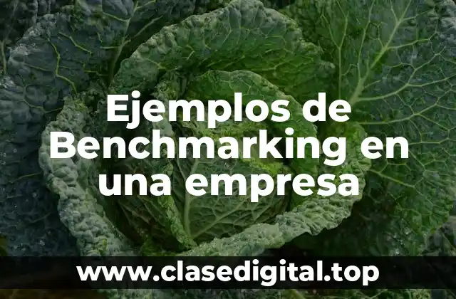 Ejemplos de Benchmarking en una empresa