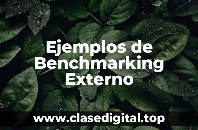 Ejemplos de Benchmarking Externo