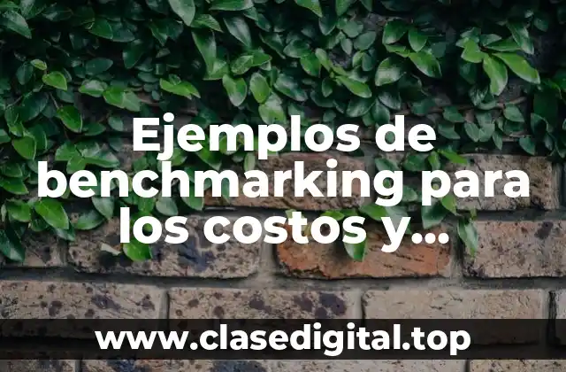 Ejemplos de benchmarking para los costos y Significado