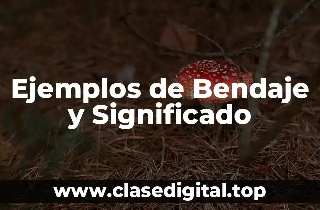 Ejemplos de Bendaje y Significado