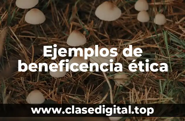 Ejemplos de beneficencia ética