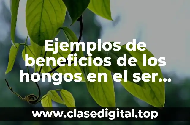 Ejemplos de beneficios de los hongos en el ser humano