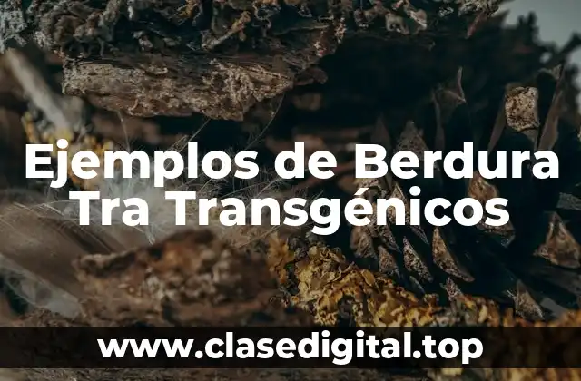 Ejemplos de Berdura Tra Transgénicos
