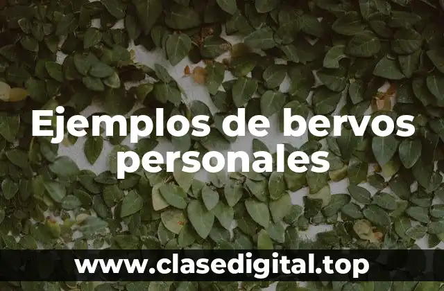 Ejemplos de bervos personales