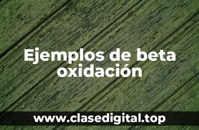 Ejemplos de beta oxidación