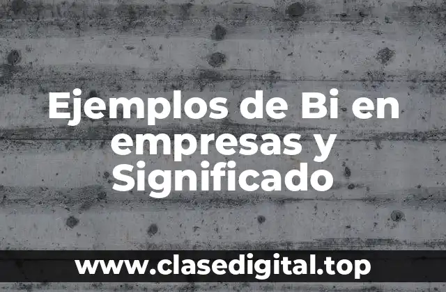 Ejemplos de Bi en empresas y Significado