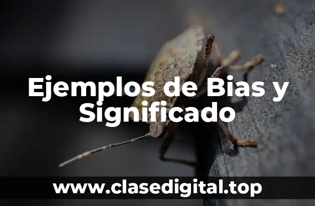 Ejemplos de Bias y Significado