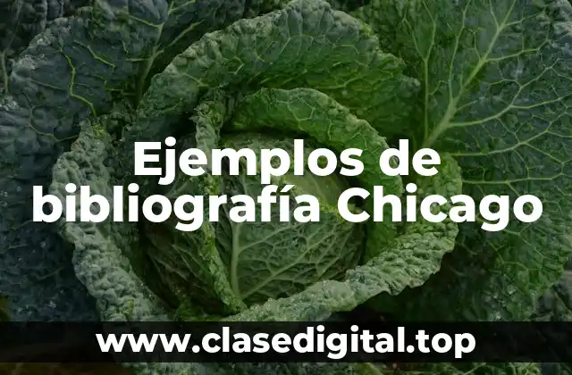 Ejemplos de bibliografía Chicago