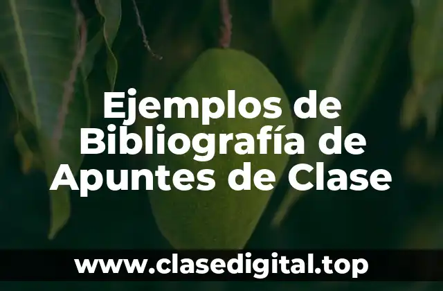 Ejemplos de Bibliografía de Apuntes de Clase