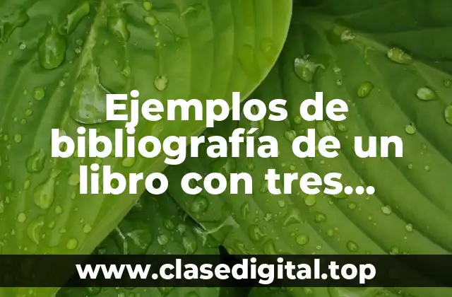 Ejemplos de bibliografía de un libro con tres autores y Significado