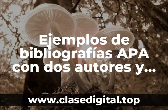 Ejemplos de bibliografías APA con dos autores y Significado
