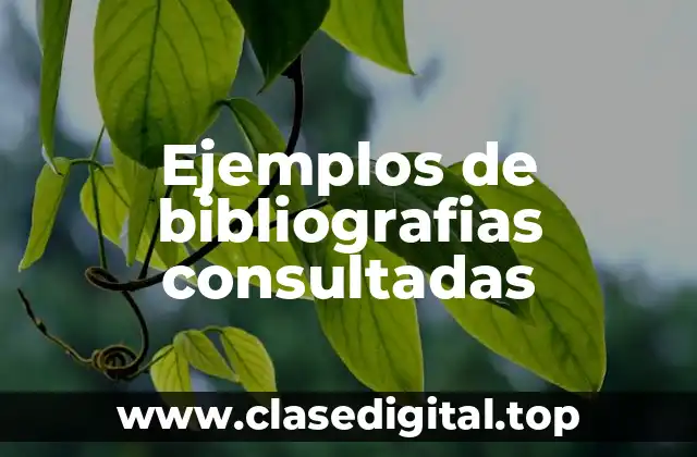 Ejemplos de bibliografias consultadas