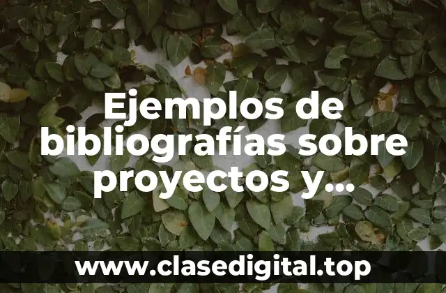Ejemplos de bibliografías sobre proyectos y empresas