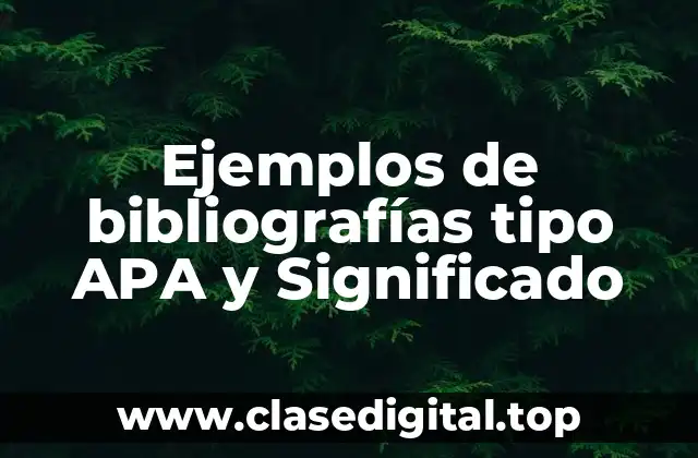 Ejemplos de bibliografías tipo APA y Significado