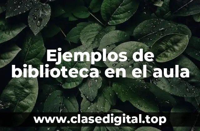 Ejemplos de biblioteca en el aula