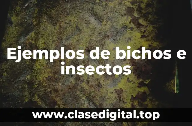 Ejemplos de bichos e insectos