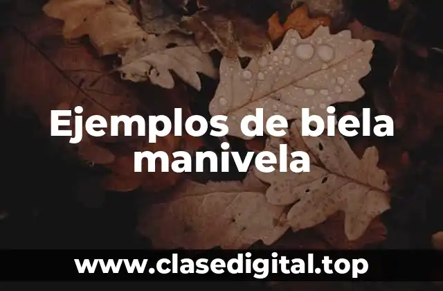 Ejemplos de biela manivela