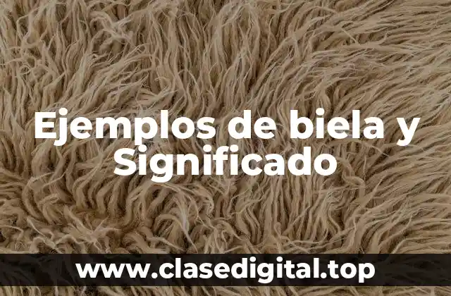 Ejemplos de biela y Significado