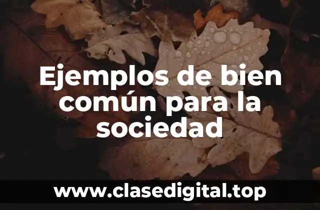 Ejemplos de bien común para la sociedad