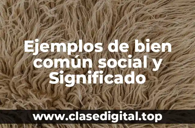 Ejemplos de bien común social