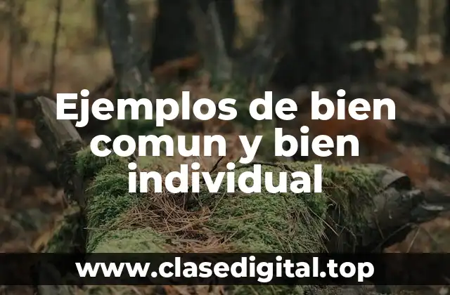 Ejemplos de bien comun y bien individual