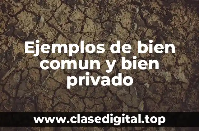 Ejemplos de bien comun y bien privado
