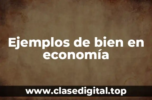 Ejemplos de bien en economía