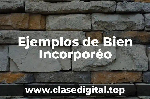 Ejemplos de Bien Incorporéo