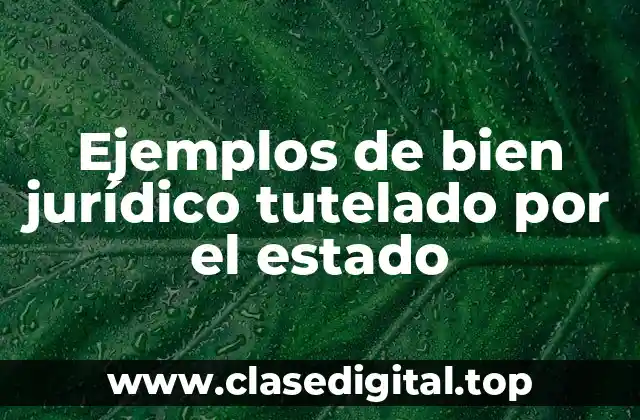 Ejemplos de bien jurídico tutelado por el estado