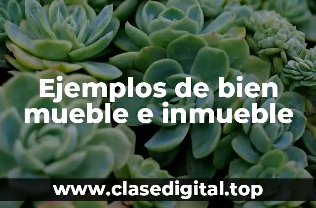 Ejemplos de bien mueble e inmueble