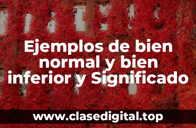 Ejemplos de bien normal y bien inferior y Significado