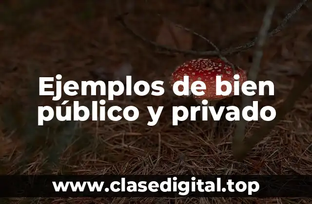 Ejemplos de bien público y privado
