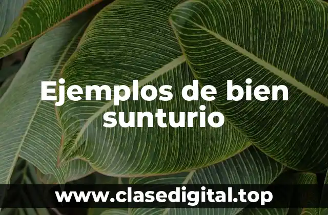 Ejemplos de bien sunturio