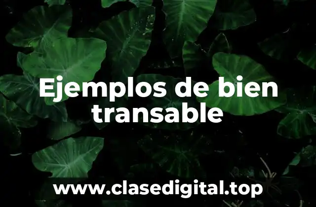 Ejemplos de bien transable